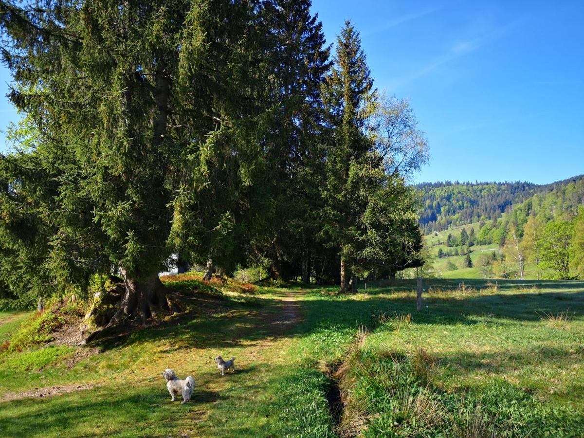 Menzenschwand-HinterdorfB4 Albmatteアパートメント エクステリア 写真