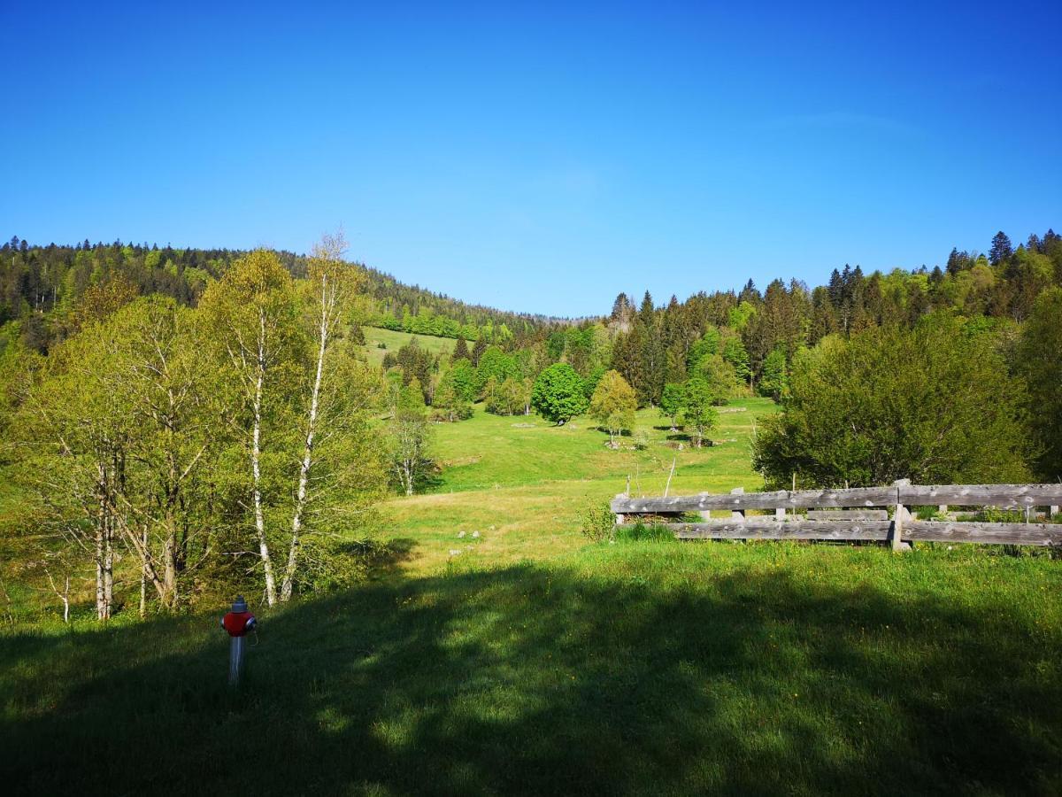 Menzenschwand-HinterdorfB4 Albmatteアパートメント エクステリア 写真