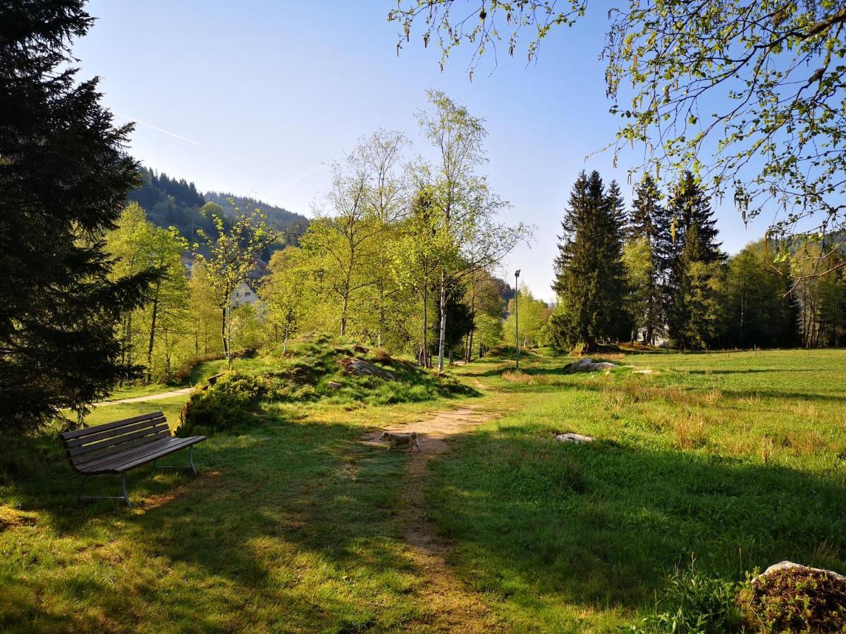 Menzenschwand-HinterdorfB4 Albmatteアパートメント エクステリア 写真