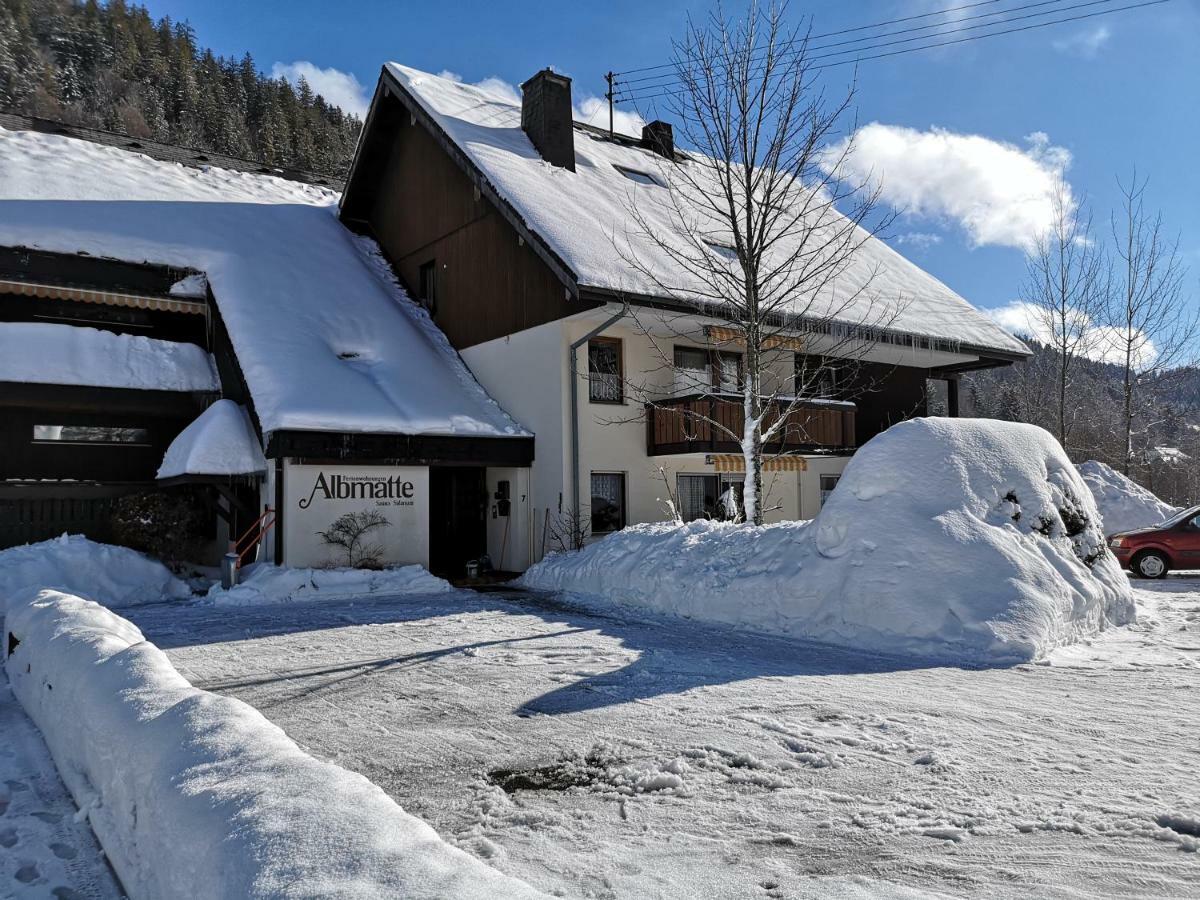 Menzenschwand-HinterdorfB4 Albmatteアパートメント エクステリア 写真