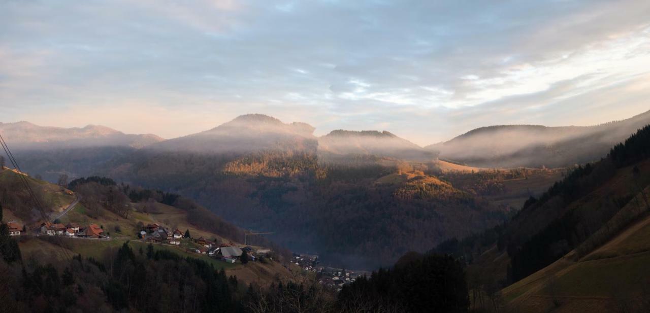 Menzenschwand-HinterdorfB4 Albmatteアパートメント エクステリア 写真
