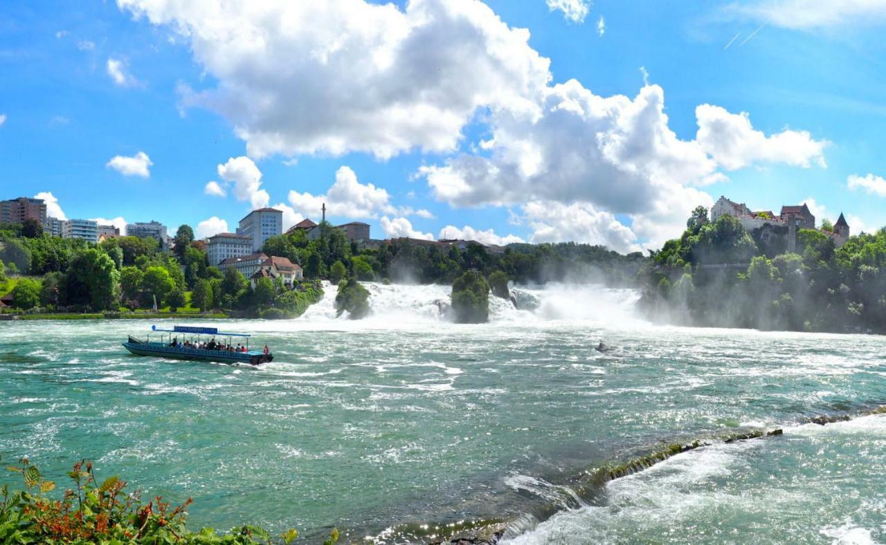 Menzenschwand-HinterdorfB4 Albmatteアパートメント エクステリア 写真