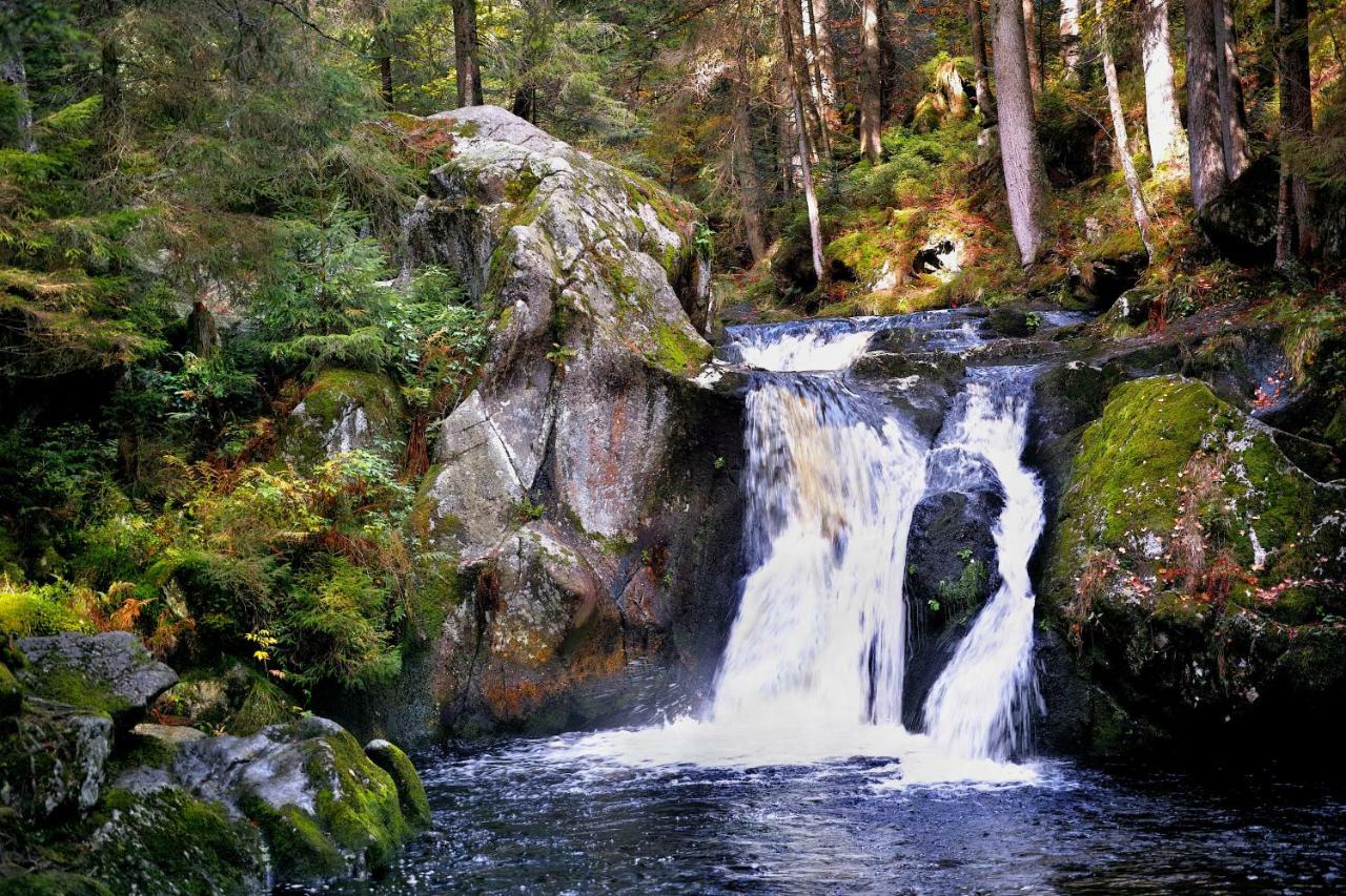 Menzenschwand-HinterdorfB4 Albmatteアパートメント エクステリア 写真