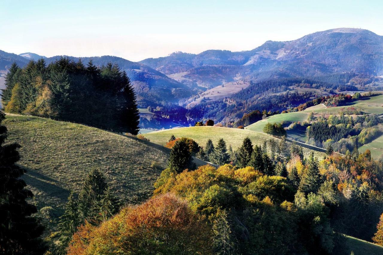 Menzenschwand-HinterdorfB4 Albmatteアパートメント エクステリア 写真