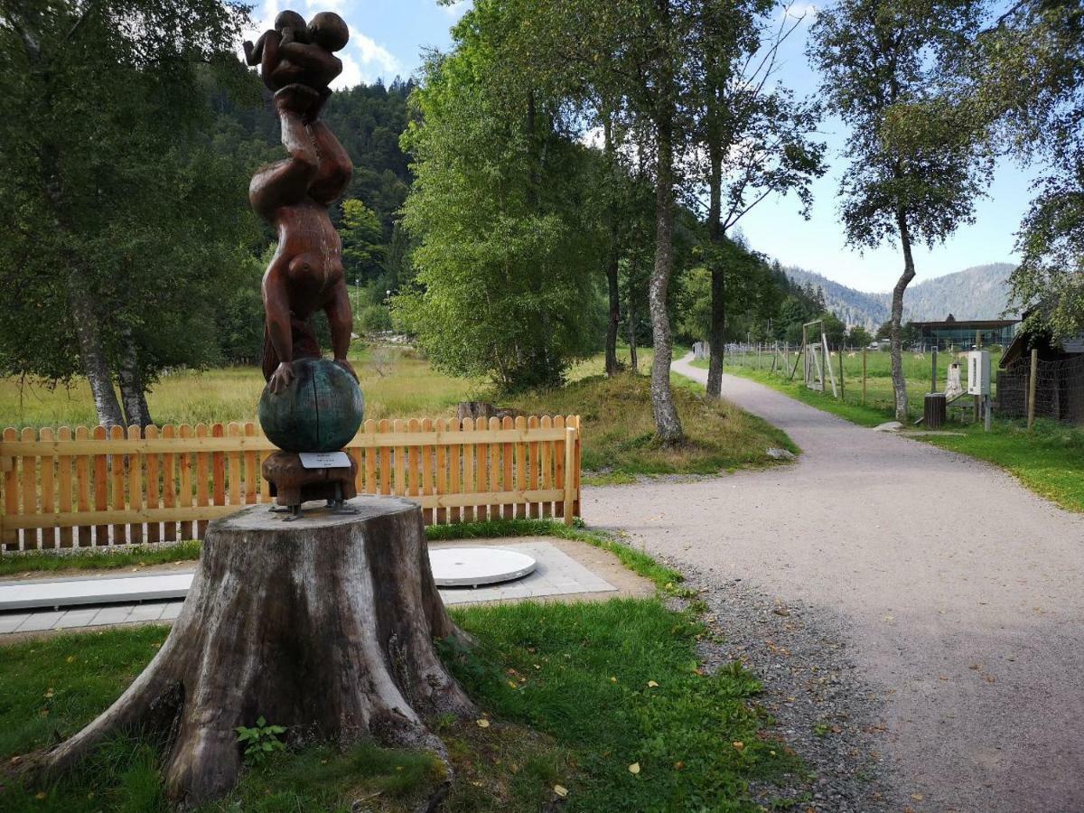 Menzenschwand-HinterdorfB4 Albmatteアパートメント エクステリア 写真